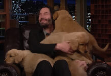 keanu reeves