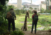 the last of us