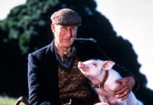 james cromwell, babe