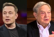 Elon