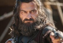 ray stevenson