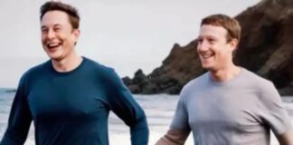 zuckerberg musk