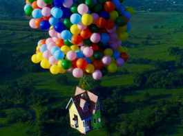 up, luigi cani