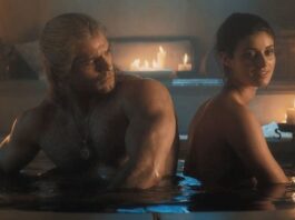 the witcher