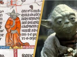 yoda