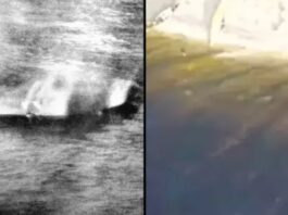 Nessie