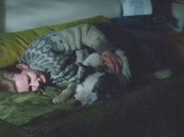 anatomia di una caduta