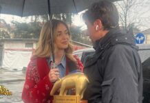 chiara ferragni, tapiro d'oro