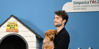 daniel radcliffe