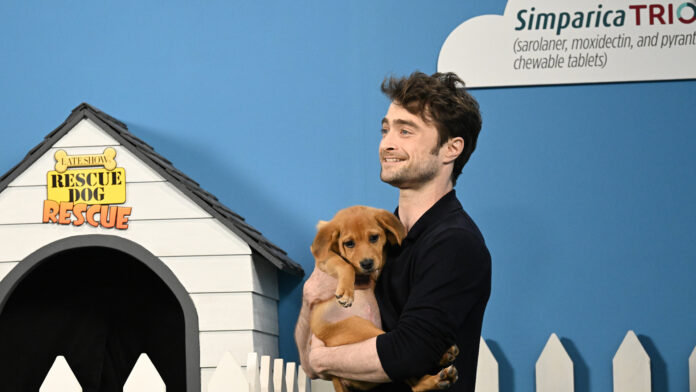 daniel radcliffe