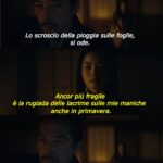 18049171852679742_lascimmiapensa