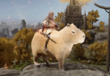 capibara