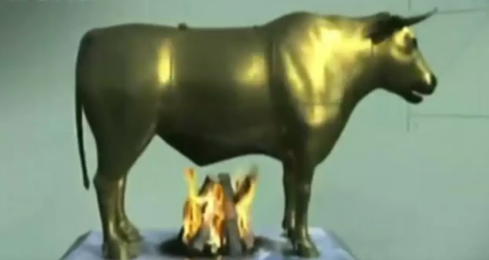 toro