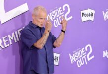 inside out 2, flea