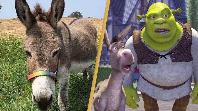 shrek