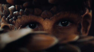 the animal kingdom, recensione