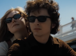 Timothée Chalamet, A Complete Unknown