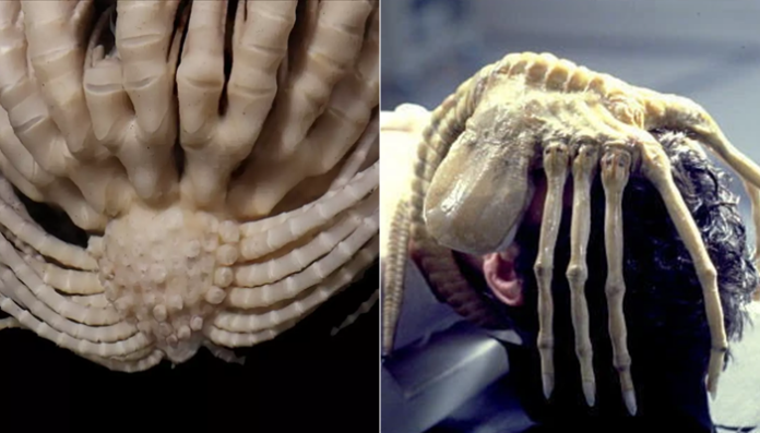 Alien
