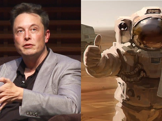 Elon
