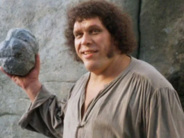 la storia fantastica, andrè the giant