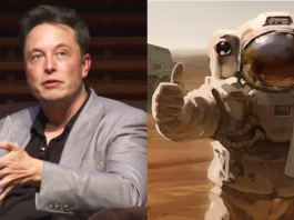 Elon