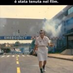 17910109598942811_lascimmiapensa
