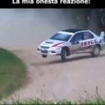 18061934620772491_lascimmiapensa