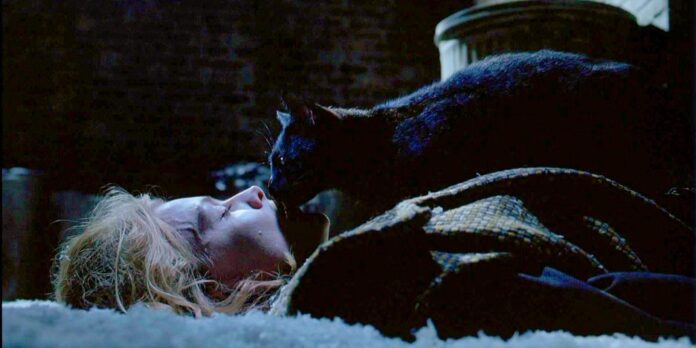 batman returns, catwoman, gatti