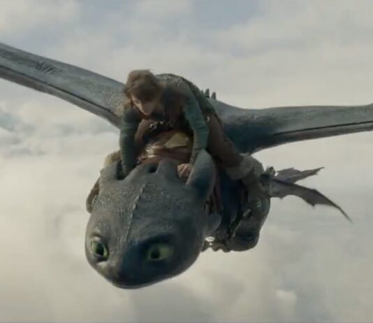 dragon trainer