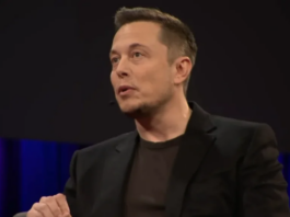 Elon