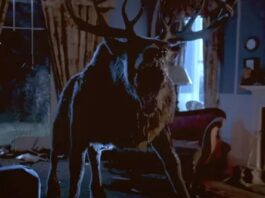 bambi
