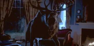 bambi