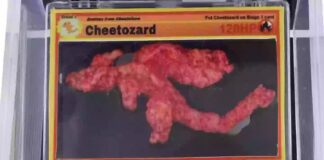 cheeto, pokèmon