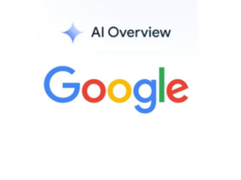 AI Overview