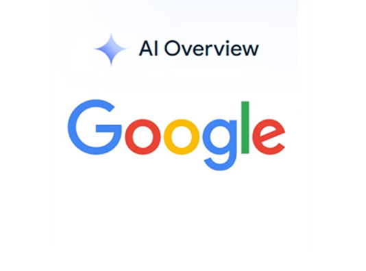 AI Overview