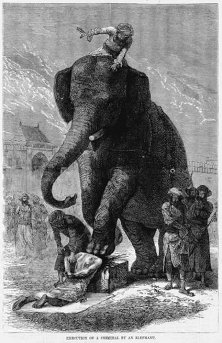image 312