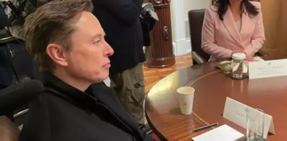 Elon