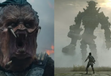 Predator