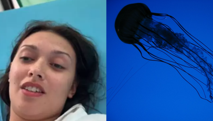 cubomedusa