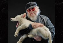 martin, metalupi