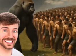 mrbeast