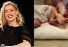 amber heard