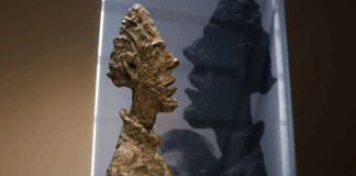 bronzo