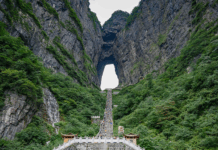 paradiso