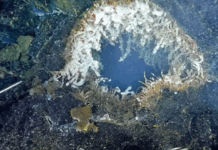 Axial Seamount