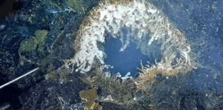 Axial Seamount