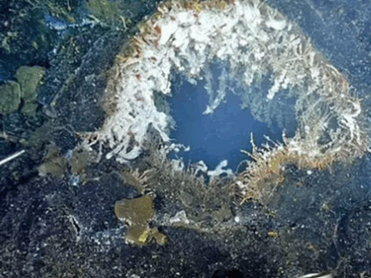 Axial Seamount