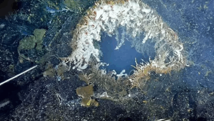 Axial Seamount