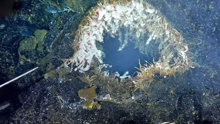 Axial Seamount: un enorme vulcano sottomarino starebbe per eruttare nel Pacifico