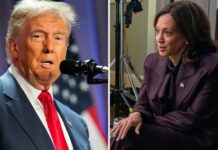 trump, kamala harris